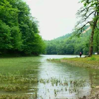 تور زمینی رشت ساری کاشان اصفهان شیراز قم