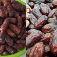 خرمای پیارم، کبکاب،ربی..|خوردنی و آشامیدنی|تربت جام, پاسداران|دیوار