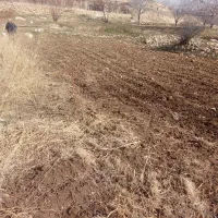 باغ-به-مساحت-470متر-نزدیک-جاده