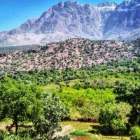 فروش باغ حومه یاسوج
