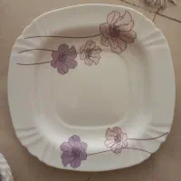 ظروف آرکوپال