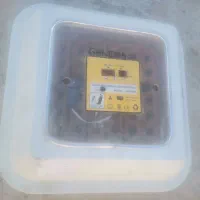جوجه کشی کره ای