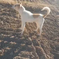 ب علت نبود جا