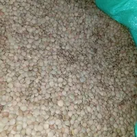 مواد غذای و خشکبار و برنج حبوبات|خوردنی و آشامیدنی|آبیک, |دیوار