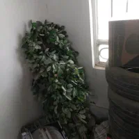 وسایل منزل|تلویزیون و پروژکتور|زاهدان, |دیوار