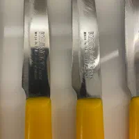 کارد میوه خوری|ظروف سرو و پذیرایی|تهران, مجیدیه|دیوار