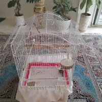 ۲عدد قفس طوطی