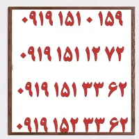 0919.420.20.29|سیمکارت|یزد, |دیوار