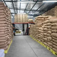 عمده فروش دان قهوه میکس و تک