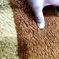 فرش 6 متری|فرش|نجفآباد, جعفرآباد|دیوار