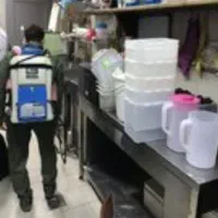 سمپاشی سوسک وسایل کنه سم پاشی موش عقرب با ضمانت