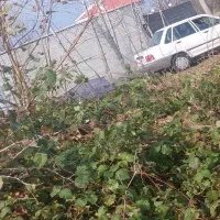 204مترزمین-نامه-بنیاد-مجوزگرفتن-پروانه-ساخت-دارد