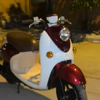 پاکشتی وینو