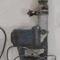 پیکور