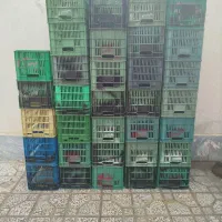 سبد۲۵کیلویی