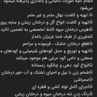 باغبانی|خدمات باغبانی و درختکاری|همدان, |دیوار