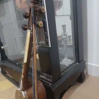 دسته‌گردو‌وکاسه‌توت