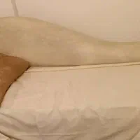 کمد و مبل|مبلمان خانگی و میز عسلی|تهران, مولوی|دیوار