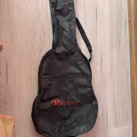 کیف گیتار