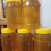 عسل کاملا ارگانیک (گون کنار و مخصوص افراد دیابتی )