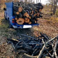 خرید چوب در باغات به قیمت بالا