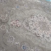 فرش گردویی رنگ|فرش|تربت‌حیدریه, باغ سلطانی|دیوار