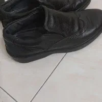 کفش مجلسی سایز ۴۲|کیف، کفش، کمربند|تهران, تهران‌نو|دیوار