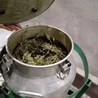 عرق  پونه نعنادرجه یک ساردوئیه ازارتفاعات آب چشمه