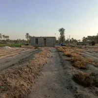 فروش-امتیاز-مرغداری