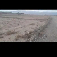 زمین ناب در فیلخانه