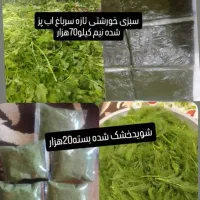 محصولات خانگی