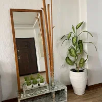 چوب لباسی آینه کاری شده