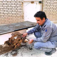 سمپاشی و موریانه زدایی تضمینی ماهشهر|خدمات نظافت|بندر ماهشهر, |دیوار