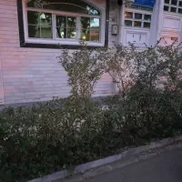 اجاره واحد اداری جهت آرایشگاه و دفتر شرکت