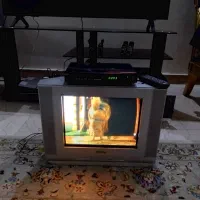 تلویزیون سامسونگ