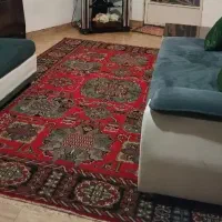 سوئیت تک خوابه تر و تمیز