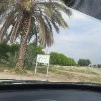 فروش-450-متر-باغچه-برقدار-در-منطقه-بن-جعفر-دزفول