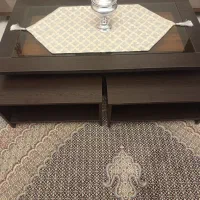 جلو مبلی ونیز تلویزیون