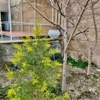 ۳منزل ویلایی در شاهدشهر/مناسب برای ساخت|فروش زمین و ملک کلنگی|شاهدشهر, |دیوار