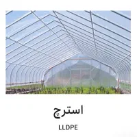 تولید و پخش عمده نایلون و نایلکس رکابی توکیسا|ظروف نگهدارنده، پلاستیکی، یک‌بارمصرف|شهریار, شهرک وائین|دیوار