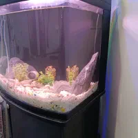 آکواریوم حرفه ای با لوازم کامل و میز|ماهی|زاهدان, |دیوار