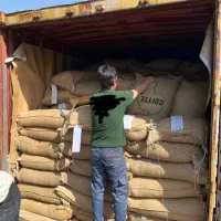 انواع دانه قهوه و محصولات پودری