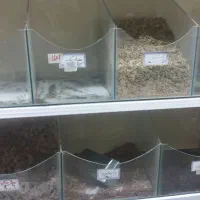 جا ادویه ای ،جا شکلاتی شیشه ای