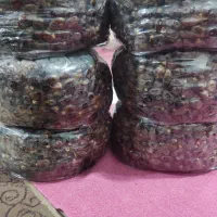 خرما درجه یک|خوردنی و آشامیدنی|کارون, |دیوار