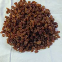 کشمش بیدانه