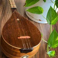 آموزش تار و سه تار