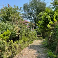 کدسوزن/۸۴۵مترخونه باغ بر آسفالت امتیازات کامل