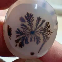 نگین شجرقائن|زیورآلات و اکسسوری|تربتحیدریه, طالقانی|دیوار