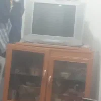 تلویزیون