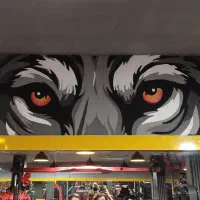 رنگ کاری و نقاشی دیواری،ترکیب رنگ|خدمات پیشه و مهارت|کرج, گوهردشت|دیوار